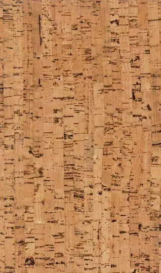 Natural Cork Floor